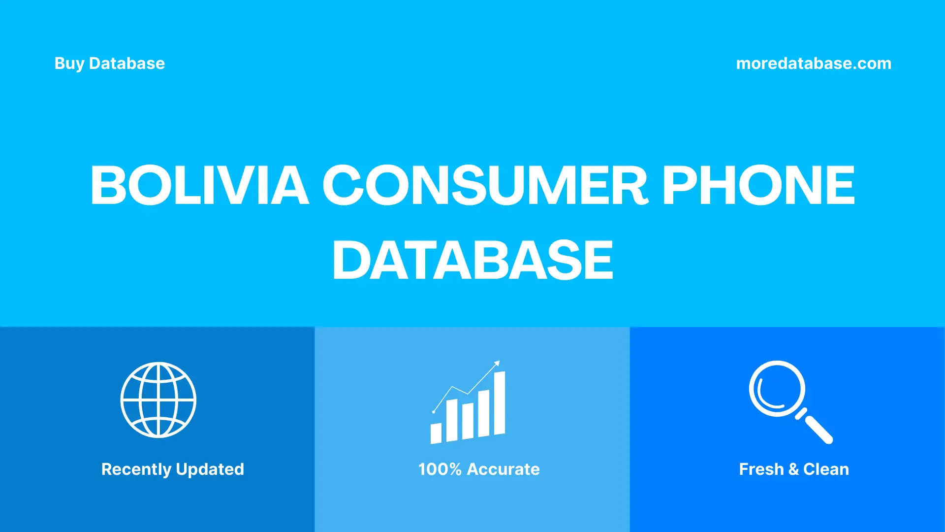 Bolivia Consumer Phone Database